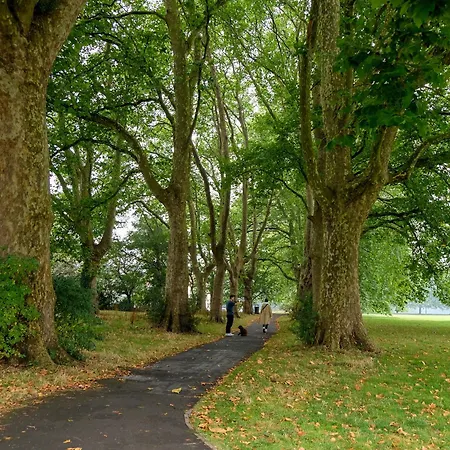 The Hidden Fishponds Gem Apartmán Bristol