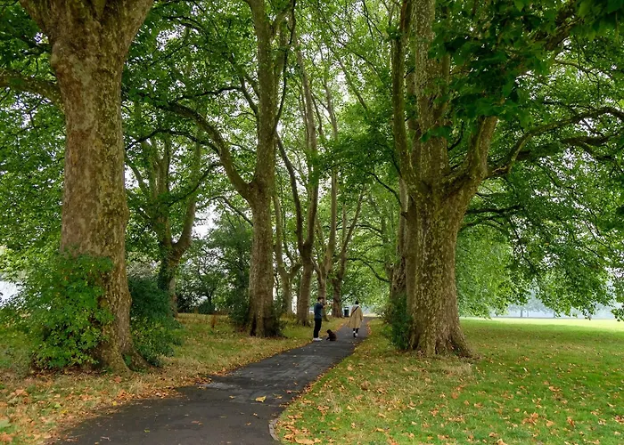 The Hidden Fishponds Gem Daire Bristol